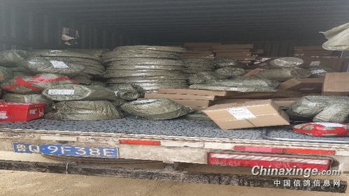 福來(lái)翔鴿具寵物用品生產(chǎn)廠 匠心獨(dú)具，專(zhuān)注寵物食品新篇章