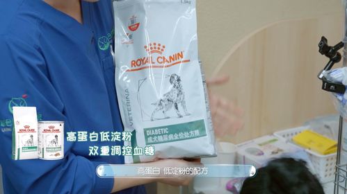 皇家寵物食品與《寵物醫(yī)生2》攜手 守護(hù)毛孩健康，以專(zhuān)業(yè)與關(guān)愛(ài)治愈回歸